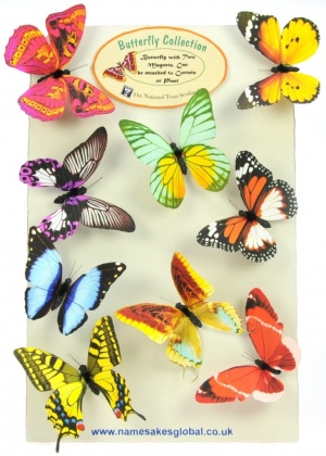9011: Magnetic Butterflies - 20 Designs - Mix Sets (Pack Size 40) Price Breaks Available